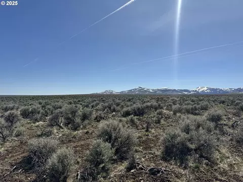 mcdowell creek rd, Plush, OR 97637 photo 18