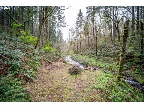 0 NE 181st Ave, Yacolt, WA 98675