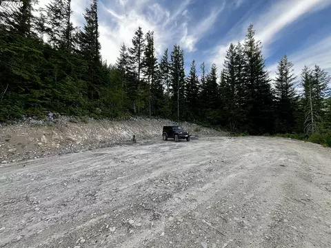snag mountain rd, Washougal, WA 98671
