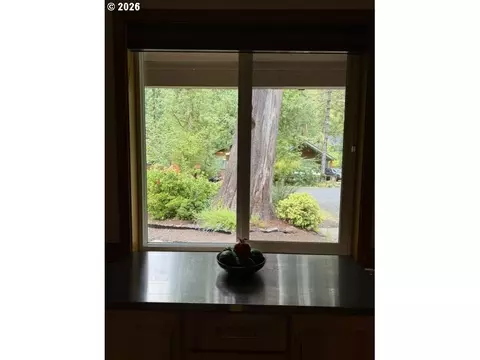 Other - 65552 E Timberline Dr, Rhododendron, OR 97049 photo 8 of 8