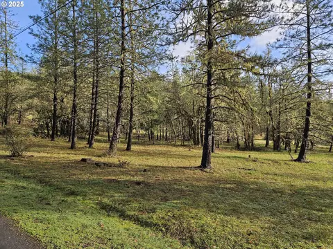 1020 Bennett Creek Rd, Cottage Grove, OR 97424