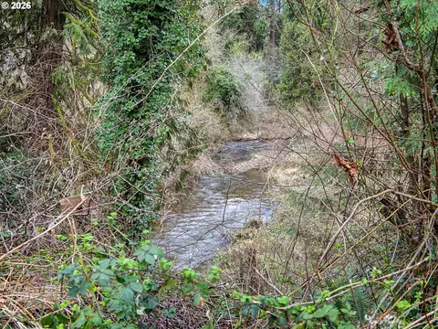 View/Area - 41051 SE Coalman Rd, Sandy, OR 97055 photo 4 of 9