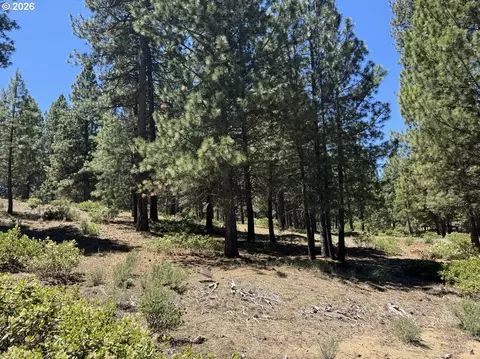 incline dr, Chiloquin, OR 97624 photo 18