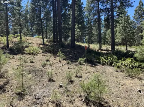 incline dr, Chiloquin, OR 97624 photo 6