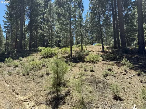 incline dr, Chiloquin, OR 97624 photo 7