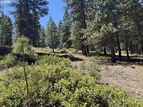 incline dr, Chiloquin, OR 97624 photo 14