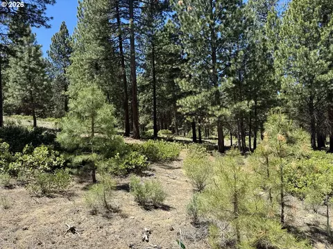 incline dr, Chiloquin, OR 97624 photo 10