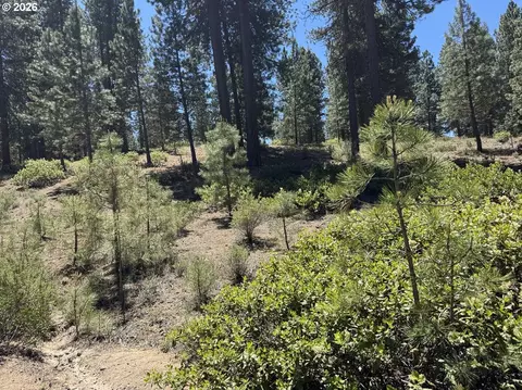 incline dr, Chiloquin, OR 97624 photo 15