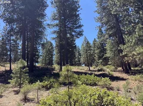 incline dr, Chiloquin, OR 97624 photo 16