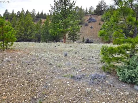269 Elkview Drive, Canyon City, OR 97820