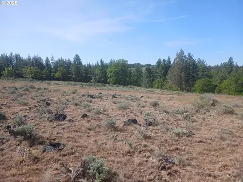 Cougar Rd, Bickleton, WA 99322 photo 5