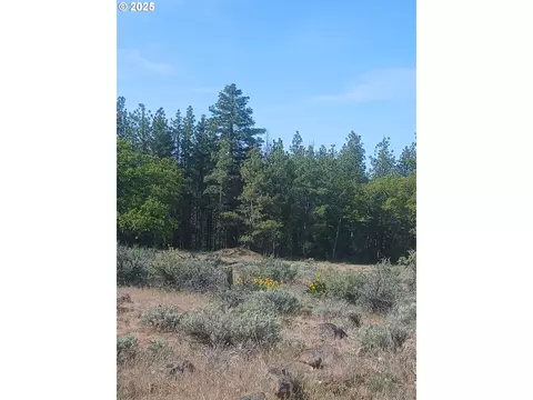 Cougar Rd, Bickleton, WA 99322 photo 3