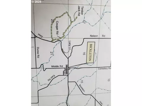 Cougar Rd, Bickleton, WA 99322 photo 7