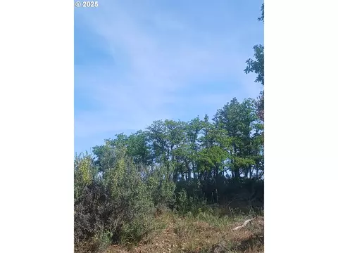 Cougar Rd, Bickleton, WA 99322 photo 9