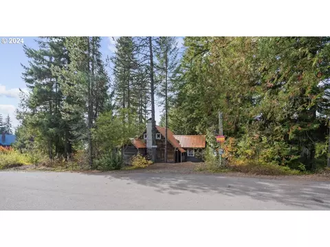 88887 E Government Camp Loop, Government Camp, OR 97028