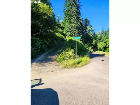 tiernan rd, Mapleton, OR 97453 photo 4