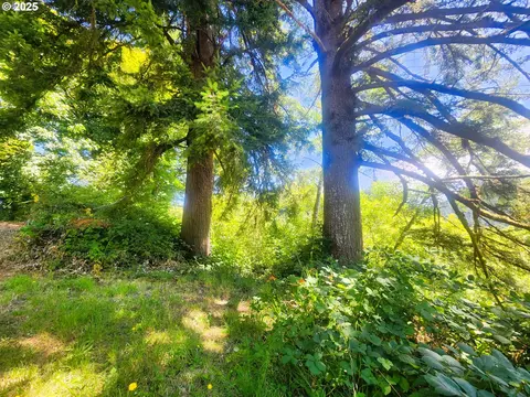 tiernan rd, Mapleton, OR 97453 photo 3