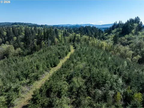 0 Whitney Rd, Rainier, OR 97048 photo 17
