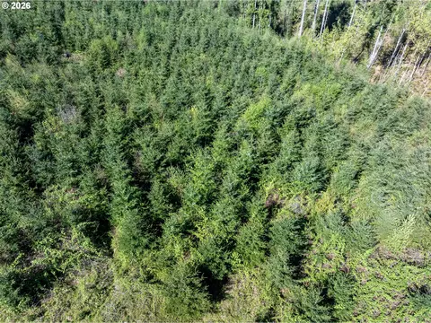 0 Whitney Rd, Rainier, OR 97048 photo 24