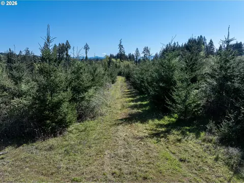 0 Whitney Rd, Rainier, OR 97048 photo 15