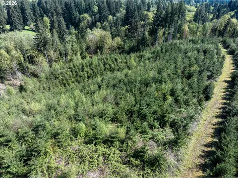 0 Whitney Rd, Rainier, OR 97048 photo 16
