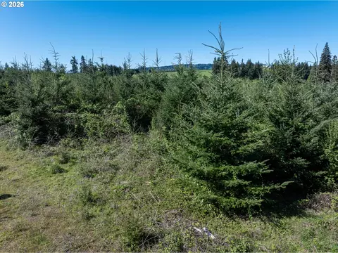 0 Whitney Rd, Rainier, OR 97048 photo 28