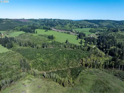 0 Whitney Rd, Rainier, OR 97048 photo 7
