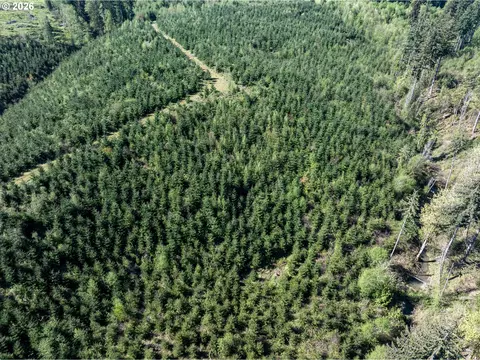 0 Whitney Rd, Rainier, OR 97048 photo 18