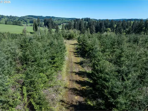 0 Whitney Rd, Rainier, OR 97048 photo 11