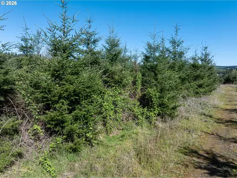 0 Whitney Rd, Rainier, OR 97048 photo 10