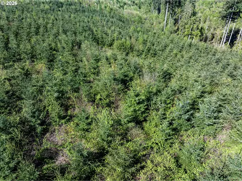 0 Whitney Rd, Rainier, OR 97048 photo 14