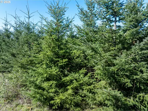 0 Whitney Rd, Rainier, OR 97048 photo 9