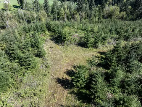 0 Whitney Rd, Rainier, OR 97048 photo 13