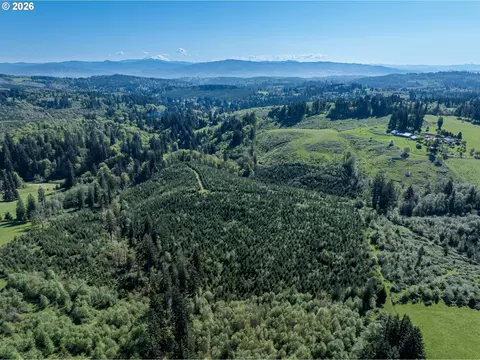 0 Whitney Rd, Rainier, OR 97048 photo 2