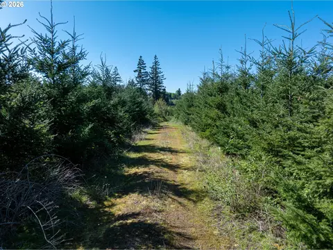 0 Whitney Rd, Rainier, OR 97048 photo 8