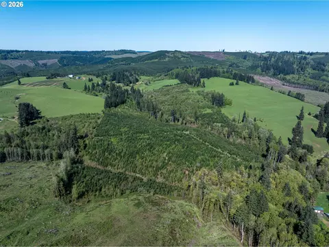 0 Whitney Rd, Rainier, OR 97048 photo 6