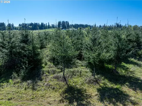 0 Whitney Rd, Rainier, OR 97048 photo 29