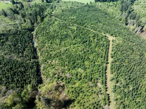 0 Whitney Rd, Rainier, OR 97048 photo 23