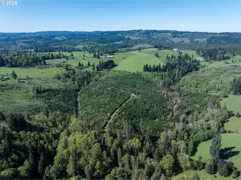 0 Whitney Rd, Rainier, OR 97048 photo 5