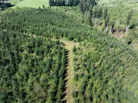 0 Whitney Rd, Rainier, OR 97048 photo 20