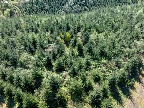0 Whitney Rd, Rainier, OR 97048 photo 25