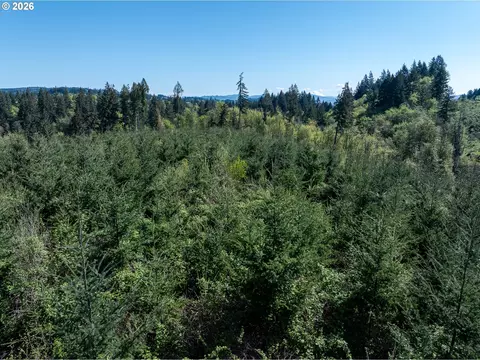 0 Whitney Rd, Rainier, OR 97048 photo 12