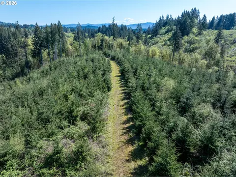0 Whitney Rd, Rainier, OR 97048 photo 26