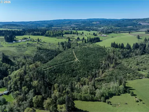 0 Whitney Rd, Rainier, OR 97048 photo 4