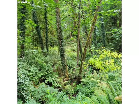 Coal Creek Rd, Scappoose, OR 97056