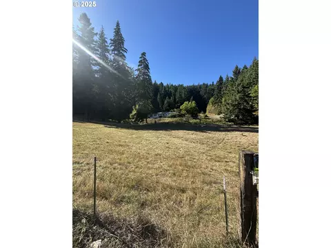 Wallace Creek Rd, Carson, WA 98610