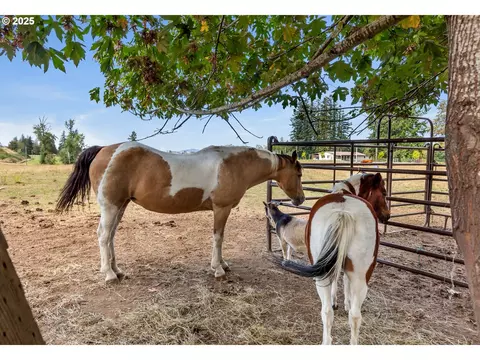 16370 Bell St #2, Sandy, OR 97055 photo 31