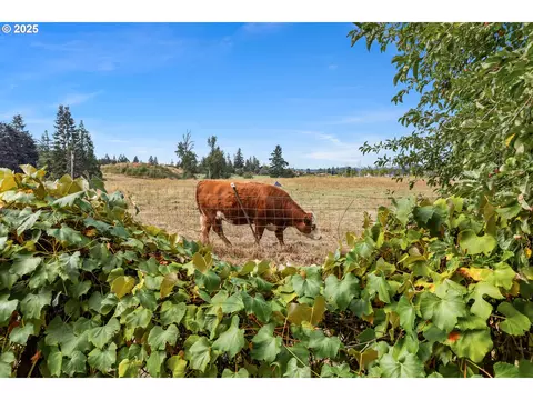 16370 Bell St #2, Sandy, OR 97055 photo 30