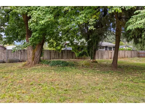 Exterior - 224 5th St, Dillard, OR 97432 photo 5 of 6