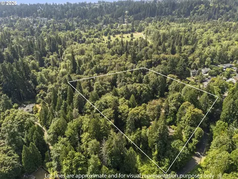 View/Area - 4600 Mapleton Dr, West Linn, OR 97068 photo 6 of 9